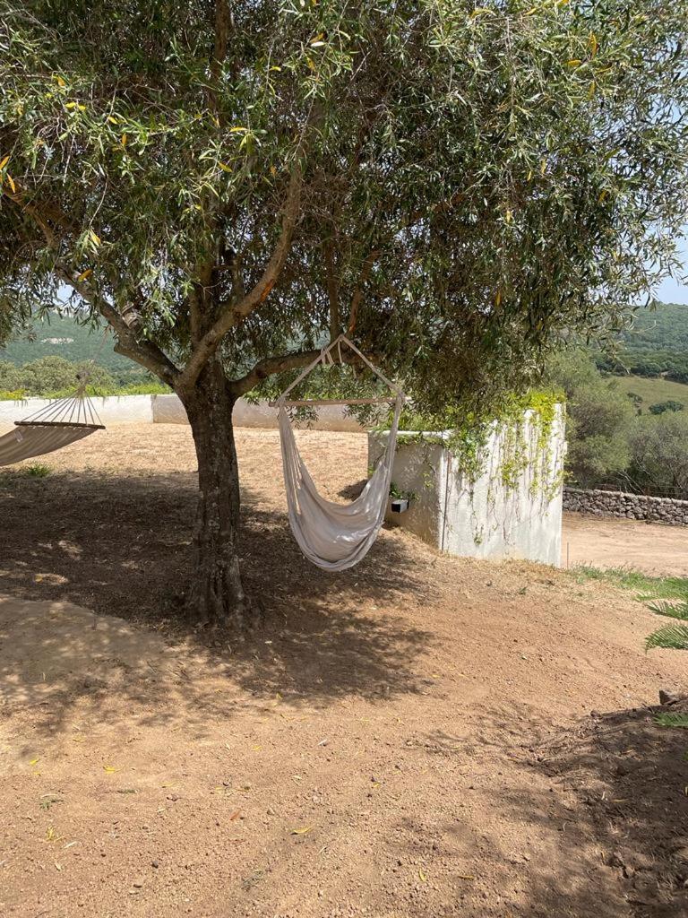 Stazzu Lu Chissoni Villa Luogosanto Bagian luar foto