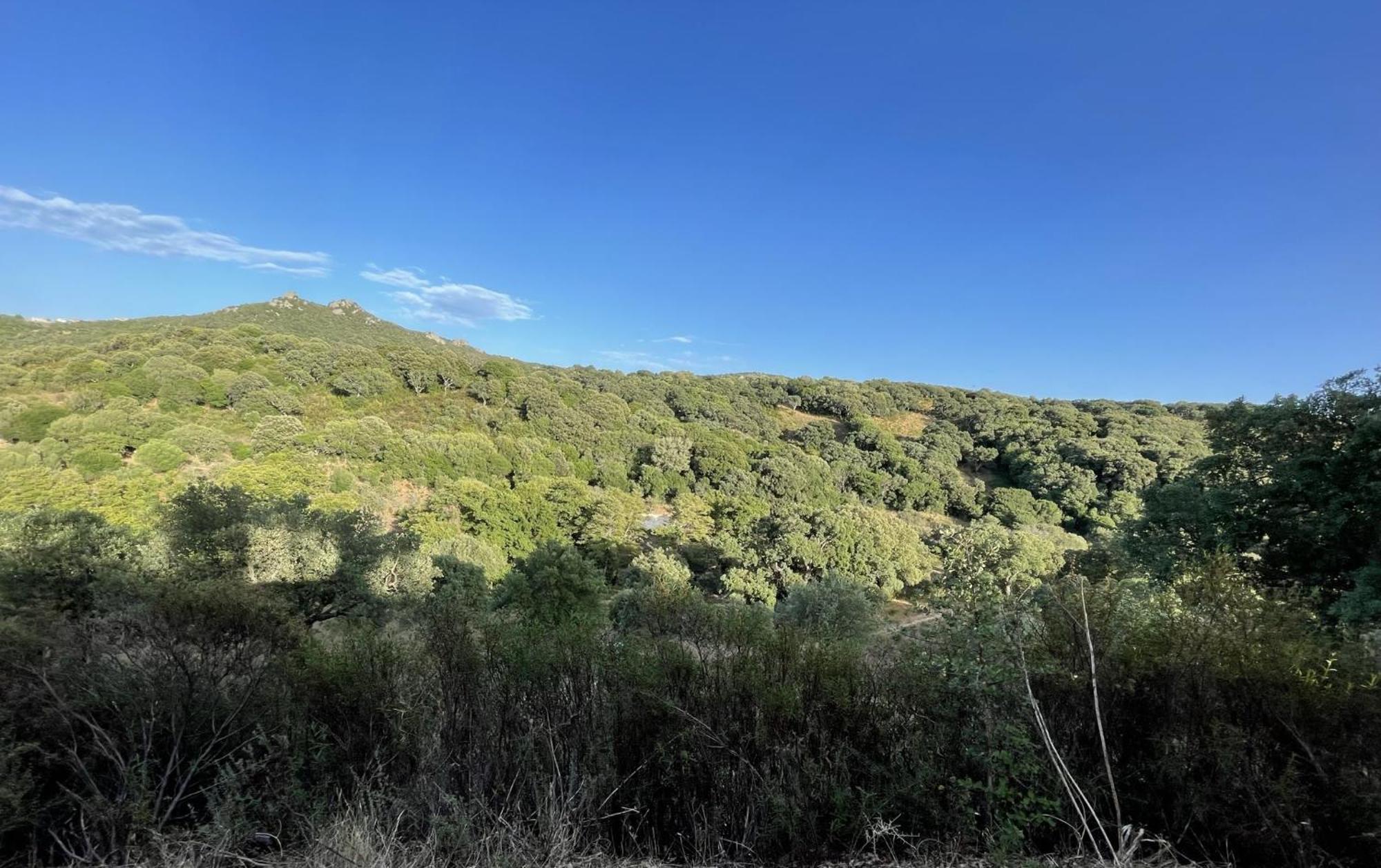 Stazzu Lu Chissoni Villa Luogosanto Bagian luar foto